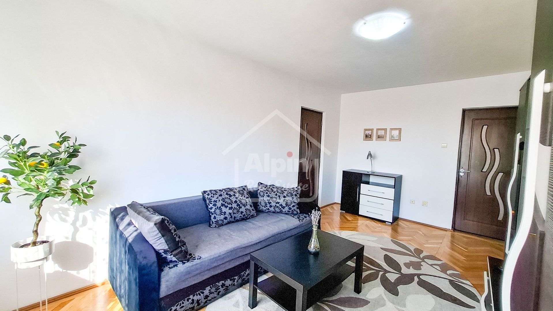 Liniste Priveliste Zona Grivitei - Poză 25