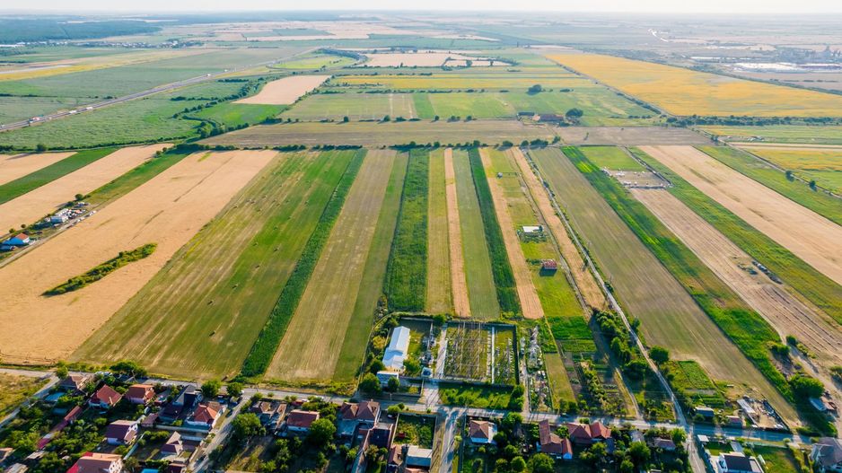 Teren de 10.000 mp situat în Bujac, Arad - Poză 4