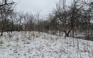 Casă și teren de vânzare în Colibași Dâmbovița Liniște Spațiu Natura - Poză 3