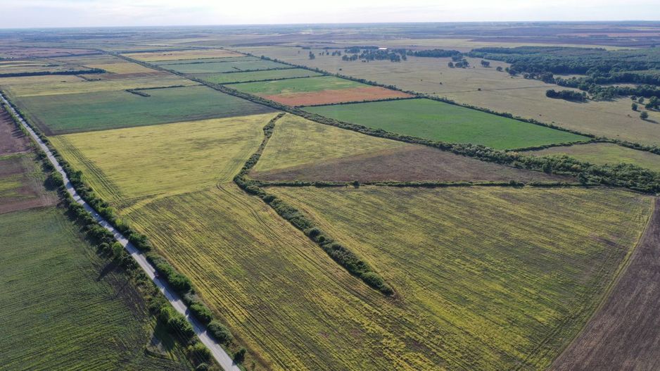 TEREN IDEAL PENTRU INVESTITII GIARMATA-PISCHIA - Poză 3