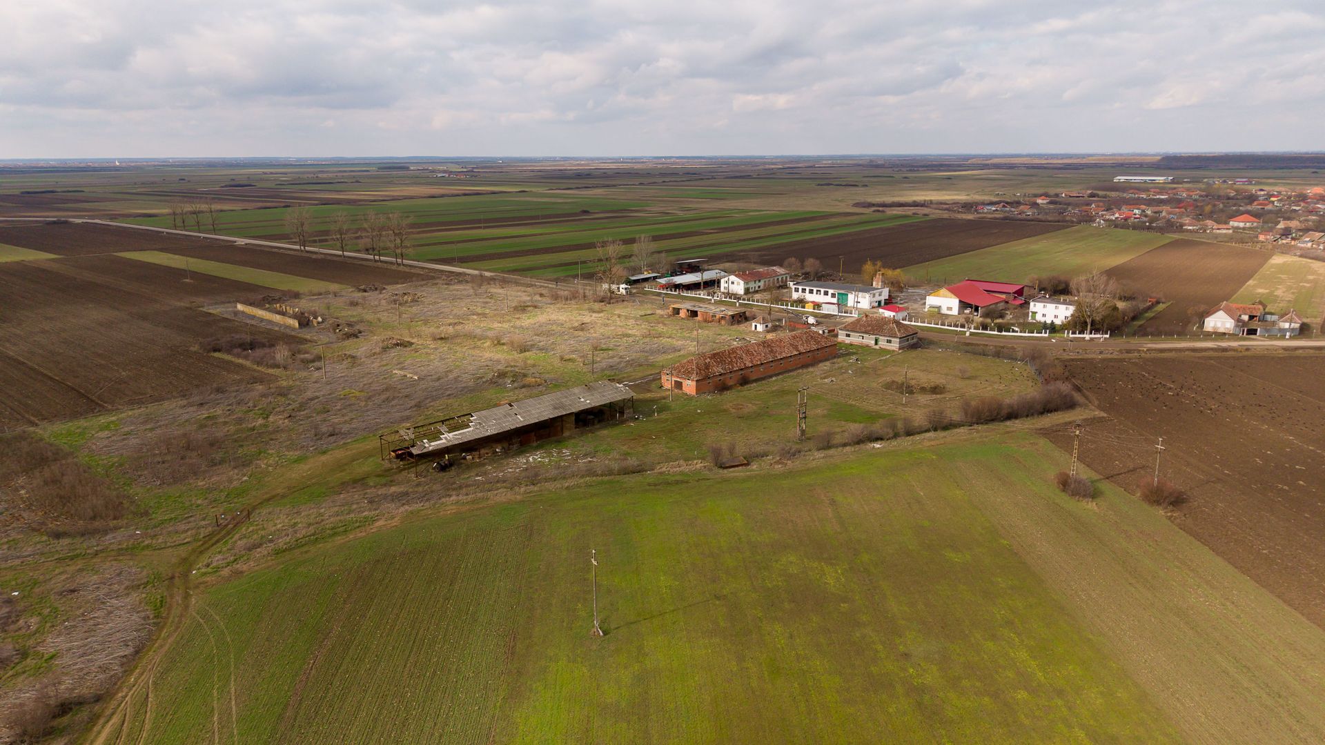 Fermă cu teren intravilan de 35000 mp în Mișca - Poză 11