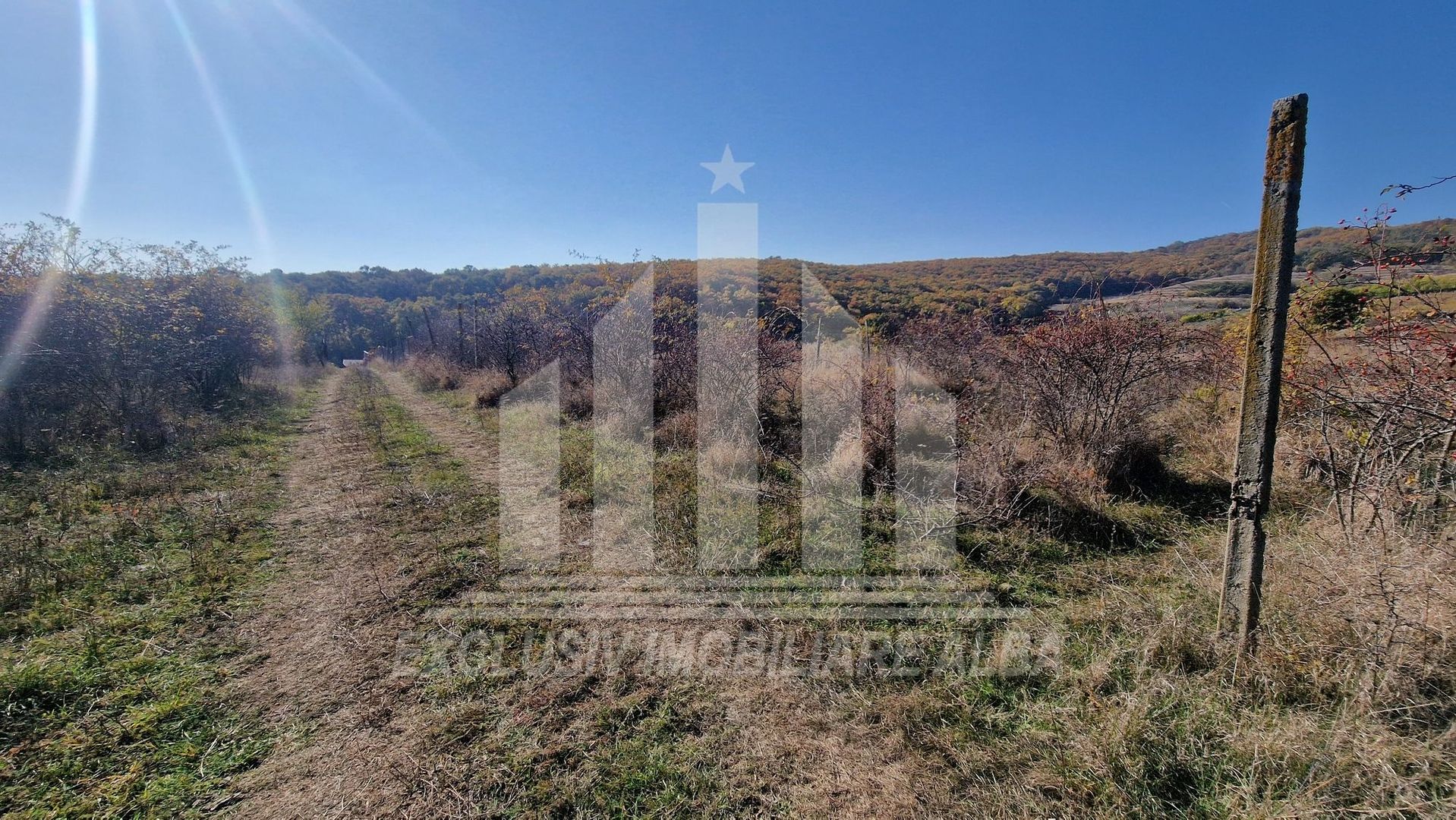 Teren intravilan de vanzare, Cetate - Poză 4