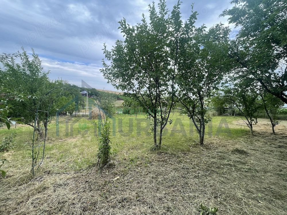 6.000 mp intravilan sat Avintu - Poză 3