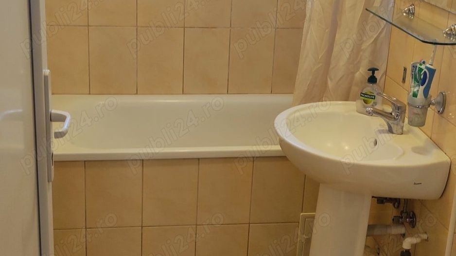 Apartament cu 1 camera Sagului-Elisabetin - Poză 8