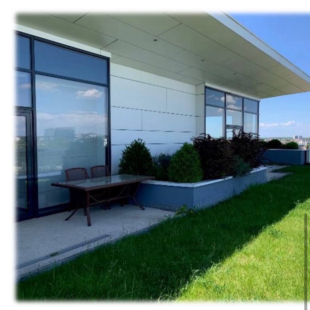 Boutique Offices - Damaroaia - Poză 7