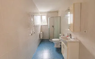 Casă + teren 7,48 ari și garaj – Drochia | 178 m² | 55.000 € - Poză 22