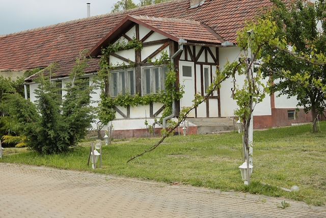 Pivnițele Birăuaș D.O.C Miniș - RATE FĂRĂ DOBÂNDĂ - Poză 59