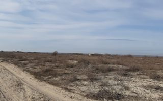 Teren 1000 mp - Plaja Vadu - Poză 2