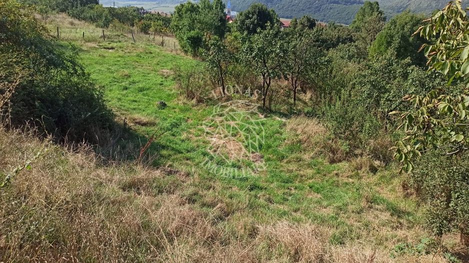 Teren intravilan 1400 mp cu utilitati la DN 17- Crainimat - Poză 3