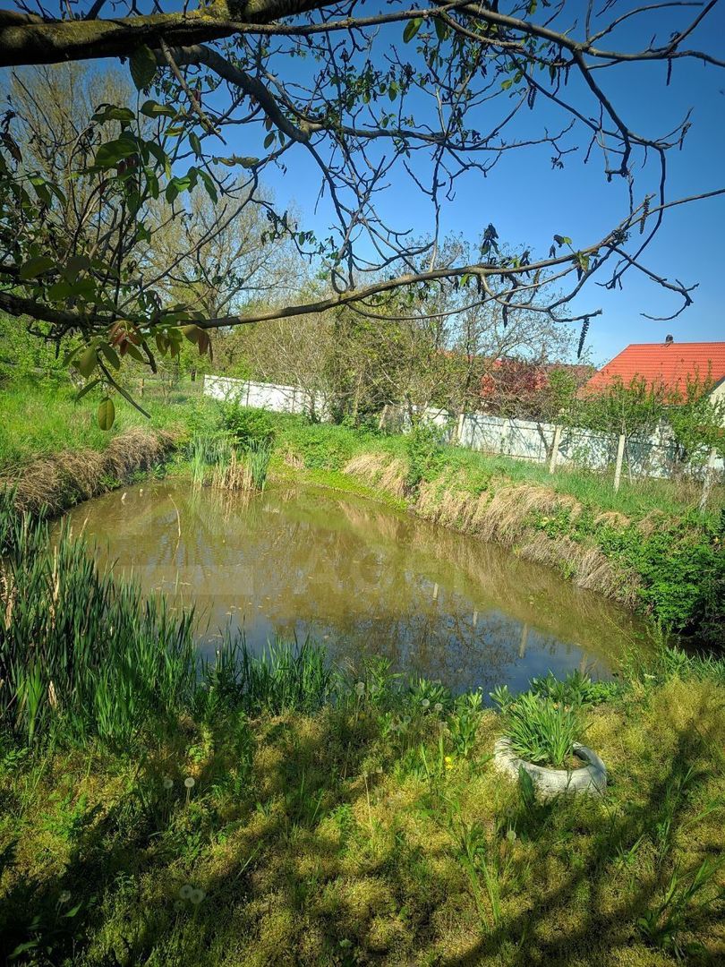 Vânzare, casă, com. Boșcana, r-nul Criuleni - Poză 11