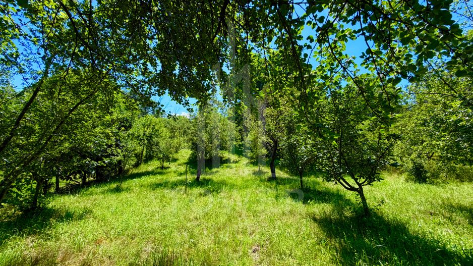 Casă de vânzare-teren 2.300 mp| Ocna Sibiului - Poză 24
