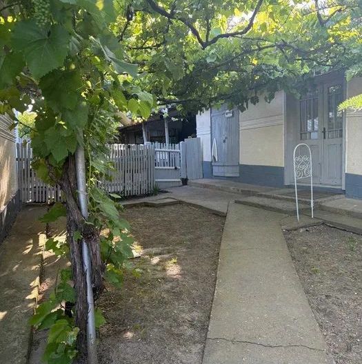 Gospodarie traditionala in localitatea MÎNJEȘTI, la 10 km de Vaslui; - Poză 15