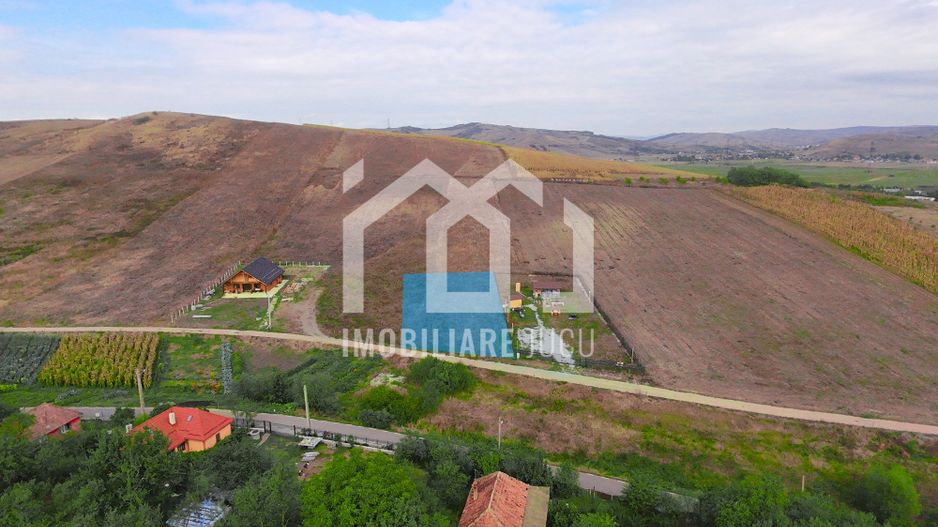 Teren Intravilan 1200 mp în Gădălin - Ideal pentru Casă sau Cabana! - Poză 1