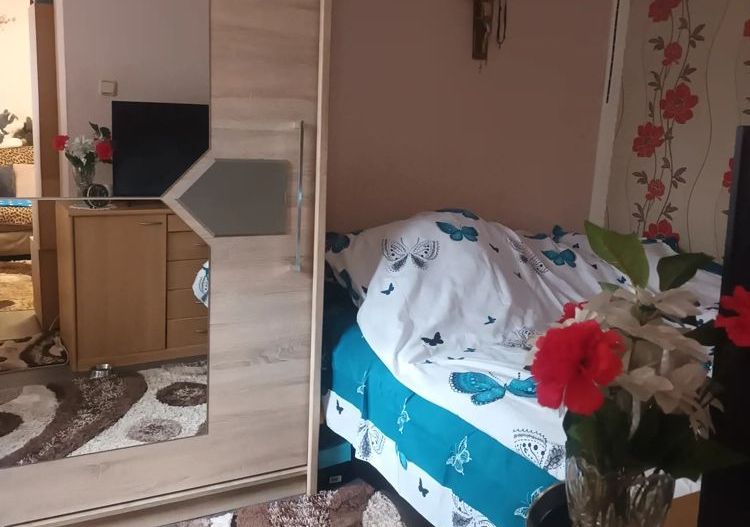 BRASADAS vinde ap 2 cam IRIS. - Poză 1