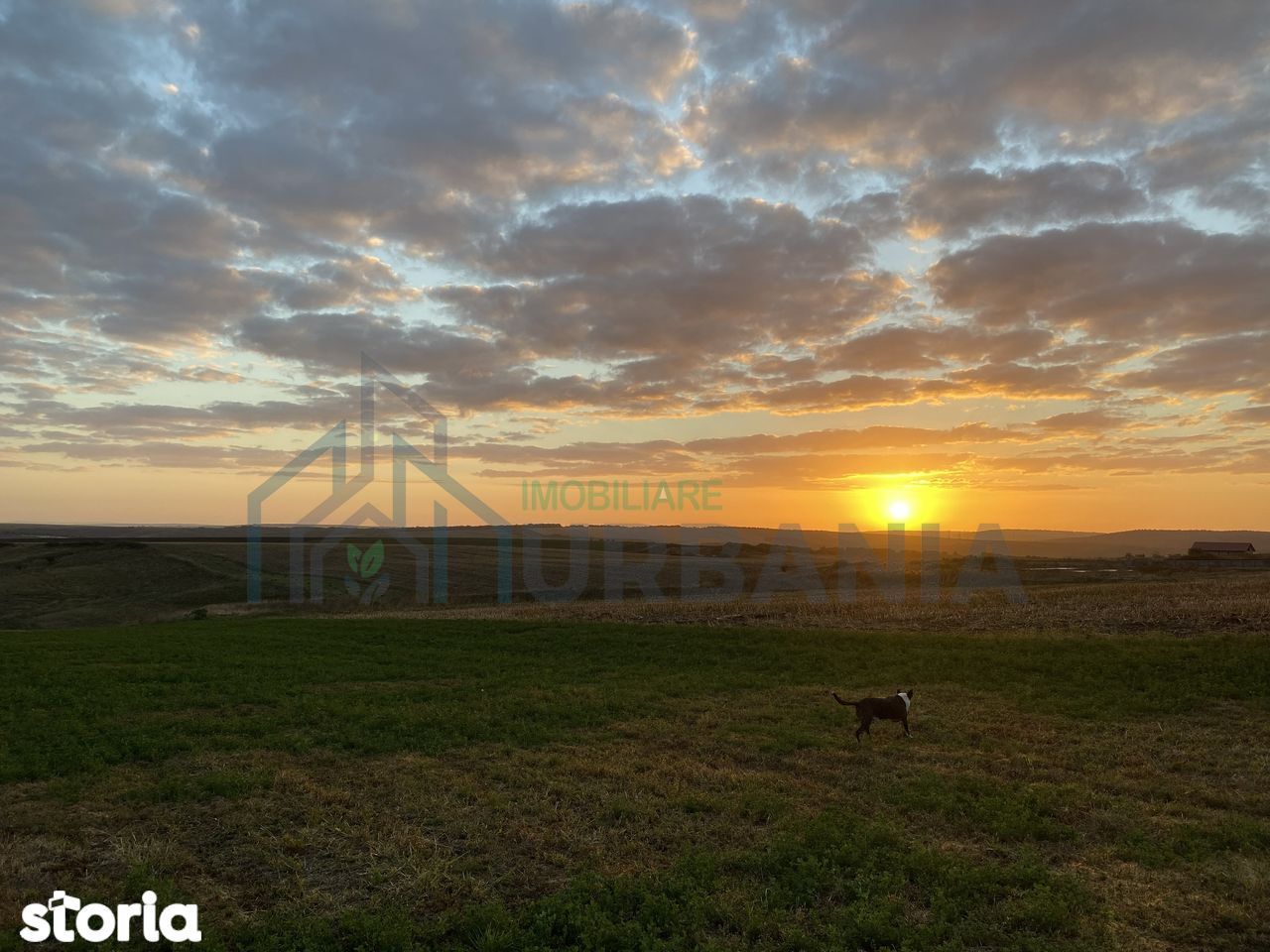 Casă parter 115 mp utili, 3 dormitoare, 2 băi, mobilată și utilată, Breazu–Iași - Poză 2