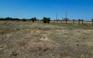 Tern intrevilan 4003 mp - Poză 18