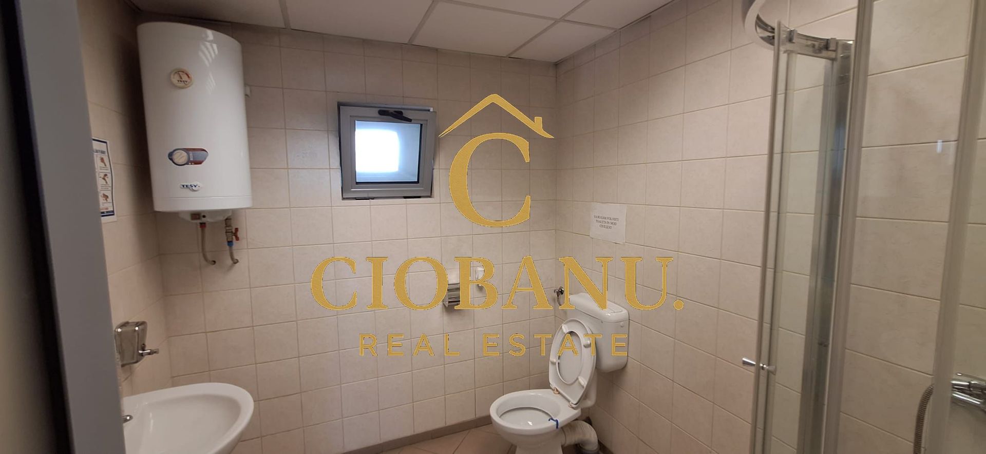 Hală industrială de vânzare / închiriere – 1.120 mp | Pielesti - Poză 8