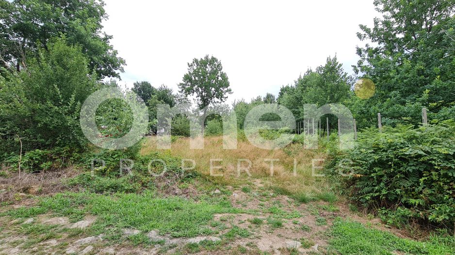 Teren intravilan de vânzare | 1.656 mp | 69.000 € | strada Murelor | Groși - Poză 1