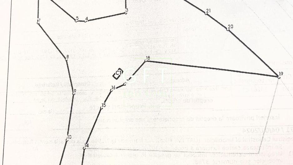 Teren 17898 mp + casa 58 mp-ideal fonduri europeane-Ilva Mica - Poză 3