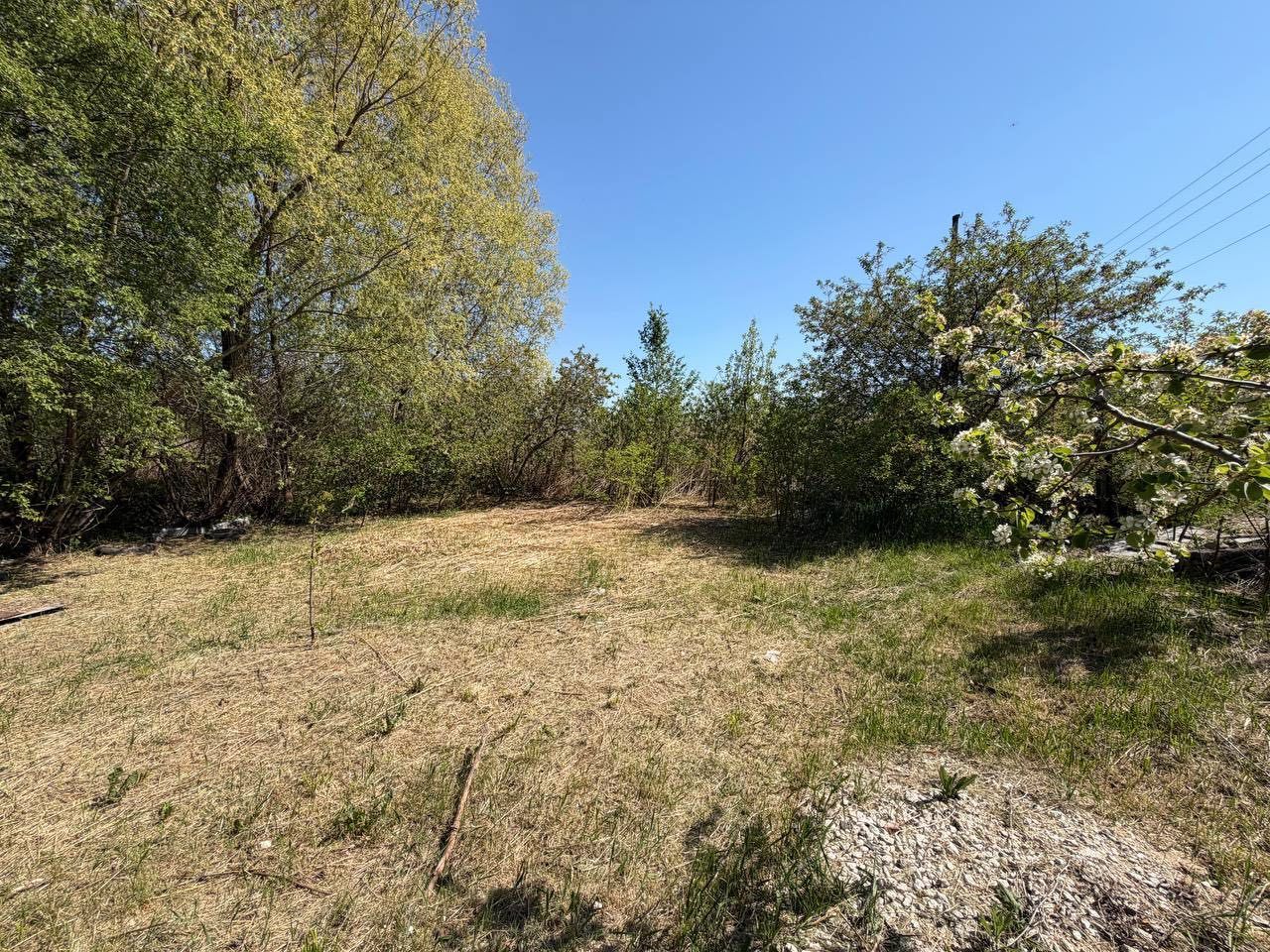Lot Pomicol Truseni I.P. Alfa-Agro - Poză 7
