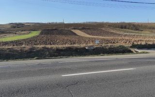 Teren intravilan 15600 mp ( 4 parcele )Livada Cluj - Poză 3