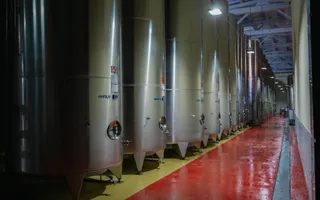 Complex Vitivinicol de Referință în Sudul Moldovei | 206 ha teren agricol | Investiție strategică - Poză 13