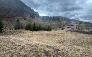 TEREN INTRAVILAN 500 MP SĂTIC- RUCĂR - Poză 12