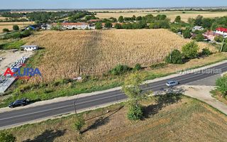 AZURA Imobiliare - Teren la DN7 langa Gaesti, Crangurile - Badulesti - Poză 20