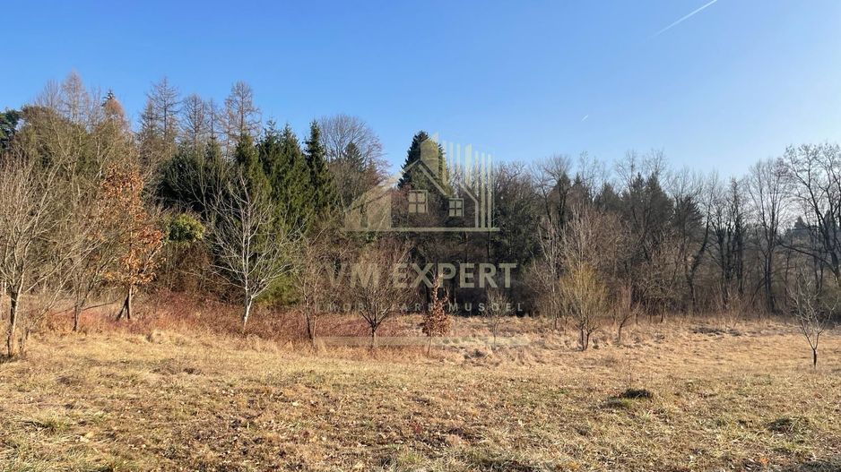 TEREN INTRAVILAN 1800 MP MIHAESTI ARGES COMISION 0 - Poză 9