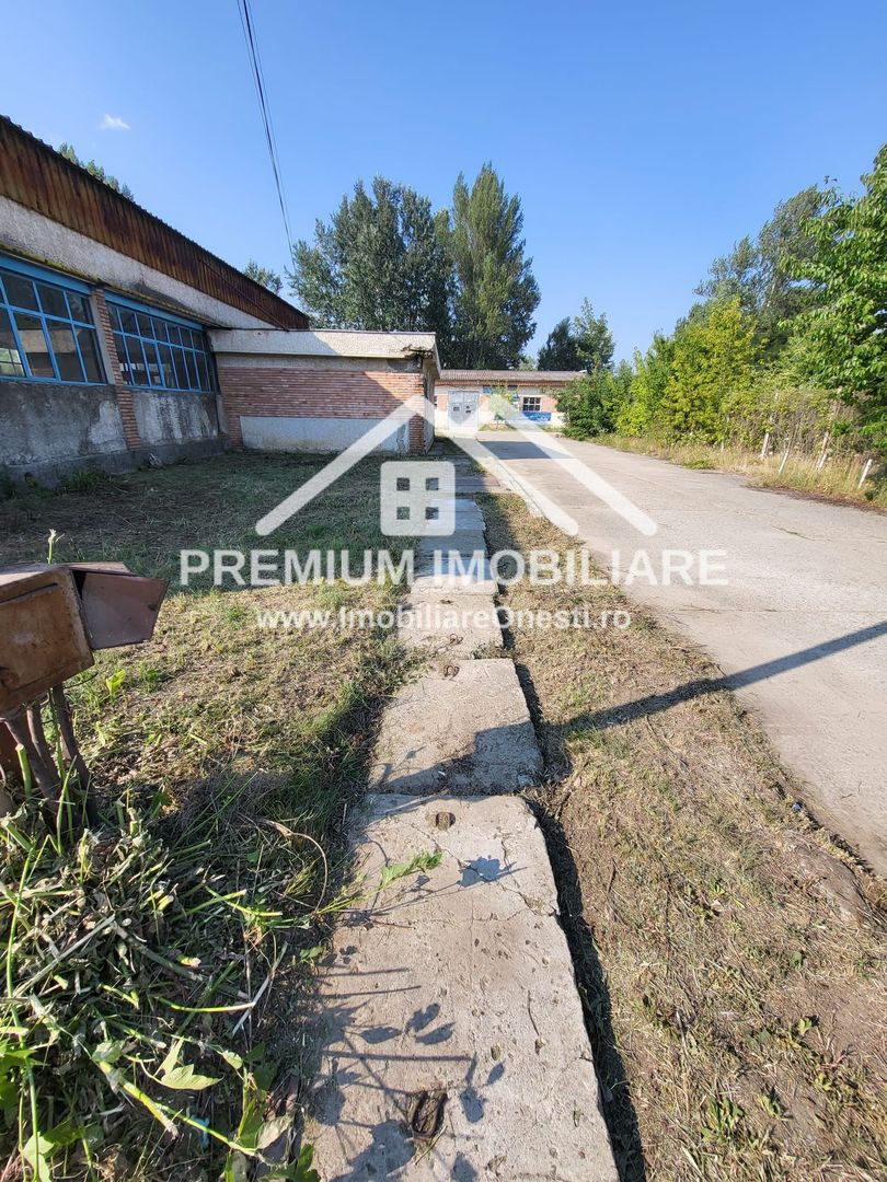 HALĂ INDUSTRIALĂ DE VÂNZARE - Poză 8