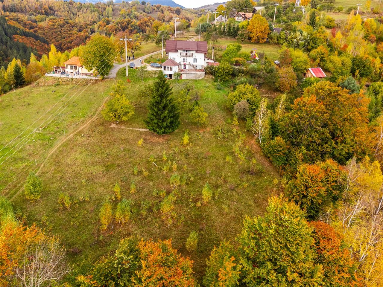 In arena Parcului Natural Piatra Craiului, Magura, Moieciu, Brasov - Poză 8