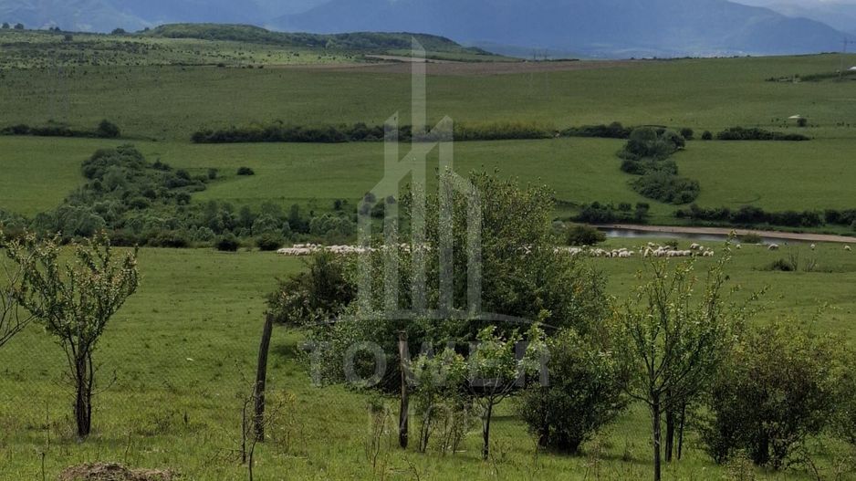 De vanzare, teren 11.500 mp – Dealul Dăii,  Vedere panoramică spre munți și lac - Poză 11