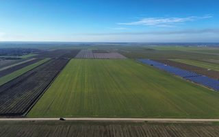 Vând teren extravilan – 11 ha, sat Valter Mărăcineanu, jud Giurgiu - Poză 1