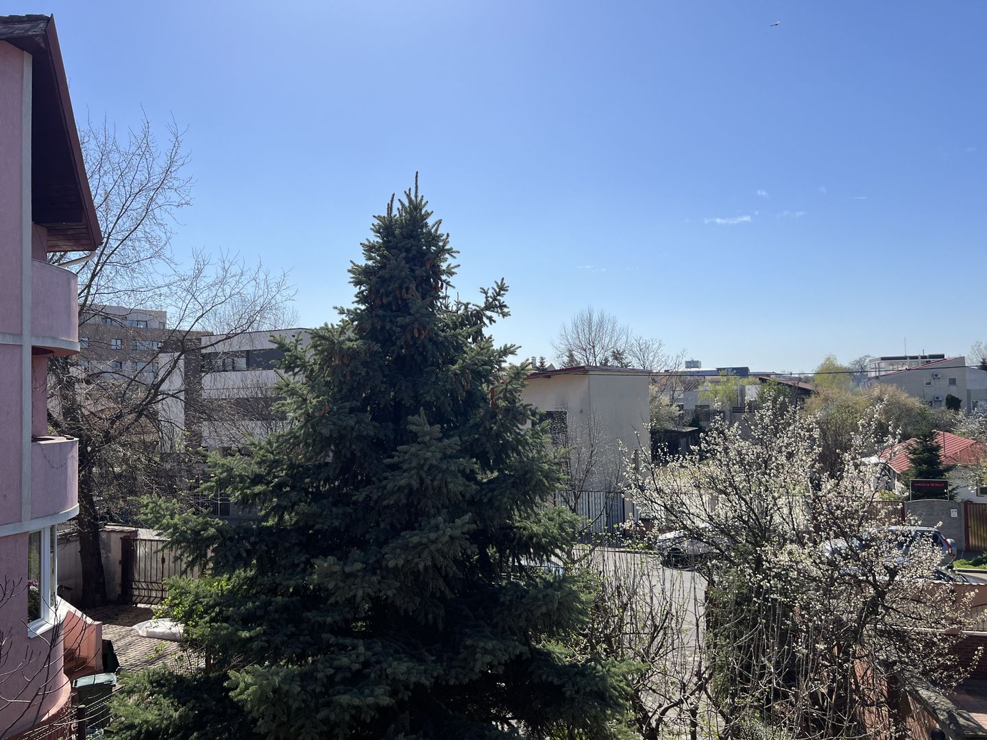 Vila superba Baneasa - Dobrogeanu Gherea - Poză 29