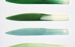 Apartament de vanzare la Blue Sky - Poză 36