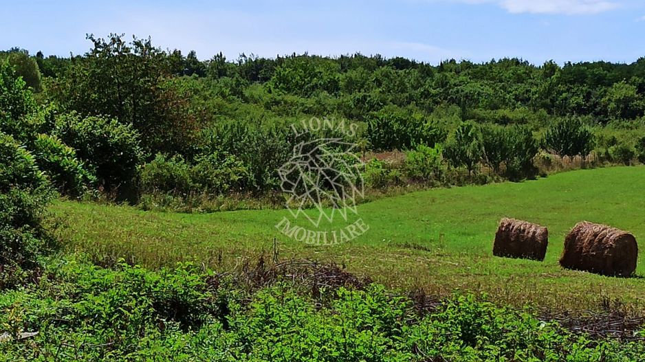Parcele teren 4038 mp - Parcelabil - Zona Valea Stanelor - Poză 5
