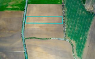 Teren extravilan între Arad și Zimand - Poză 4