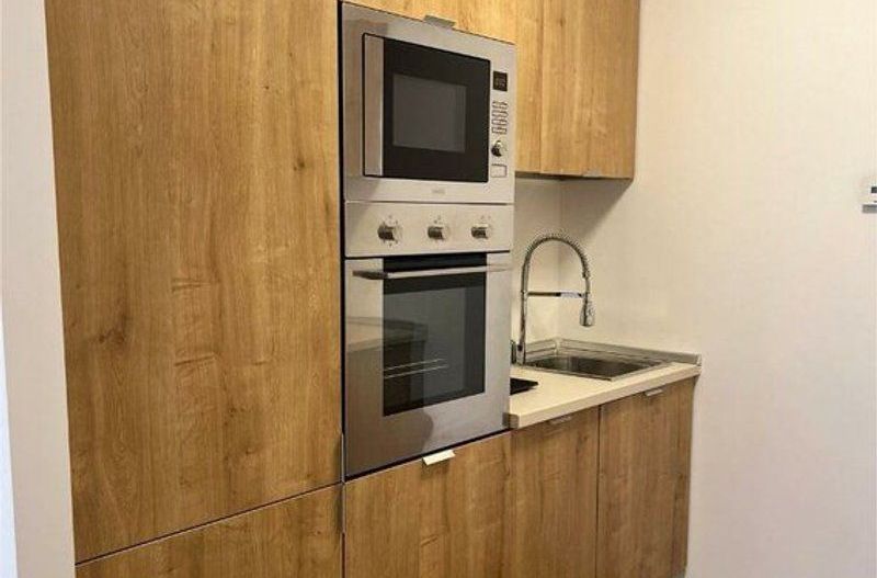 Inchiriere apartament 2 camere  One Floreasca Lake - Poză 4