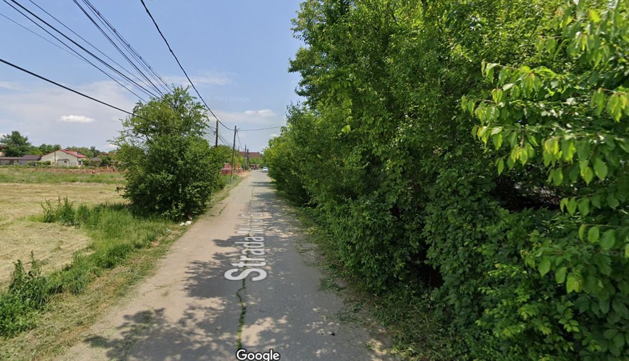 Izvorani | Deschidere la Lacul Snagov | Aparare de mal - Poză 6