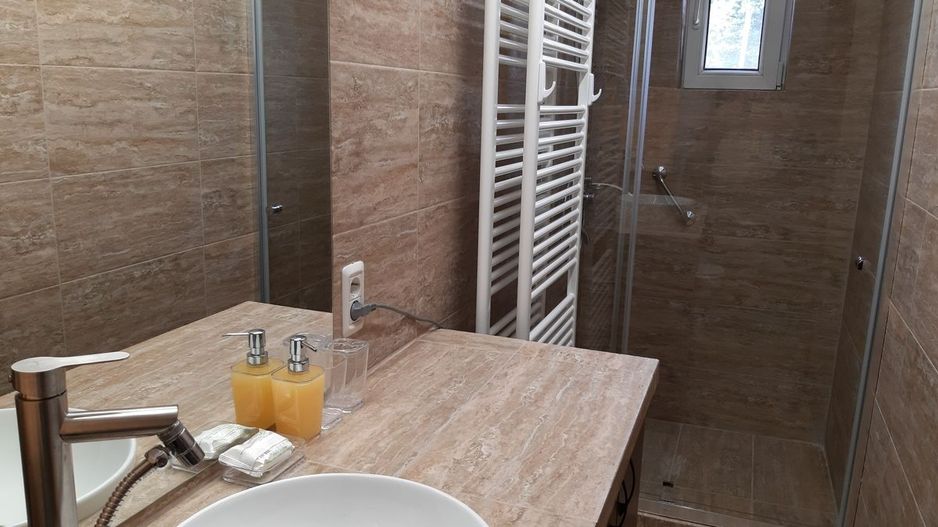 Apartament Polona // Dacia - Poză 10