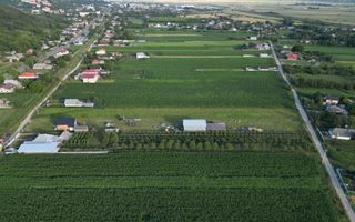 Teren intravilan de vânzare 4.300mp Buhuși - Poză 5