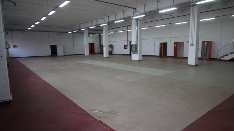 Hala productie    - Calea Torontalului de vanzare - Poză 5