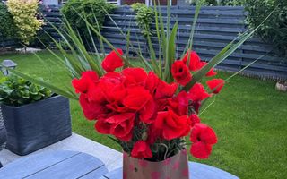 Vilă Individuală de Lux - Poză 4