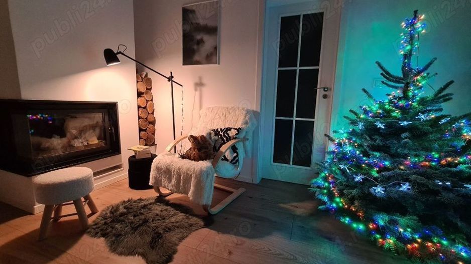 Apart deosebit pe malul Begai - Poză 9