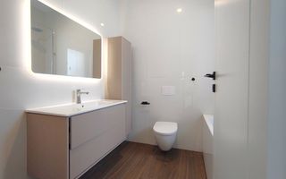 Vila P+1 | Ansamblu Nou zona Tunari - Poză 13