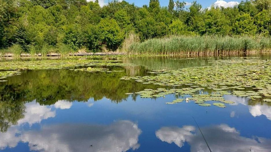 Vila cu ponton la lacul Snagov - Poză 2