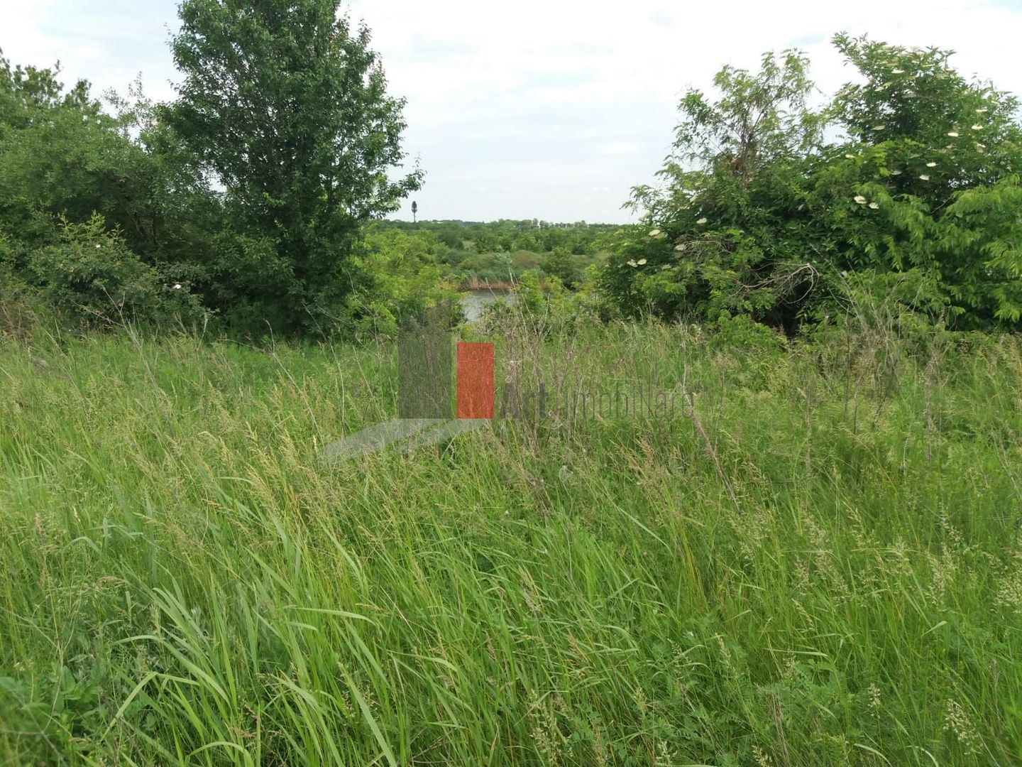 Teren Buftea cu iesire la lac - Poză 27