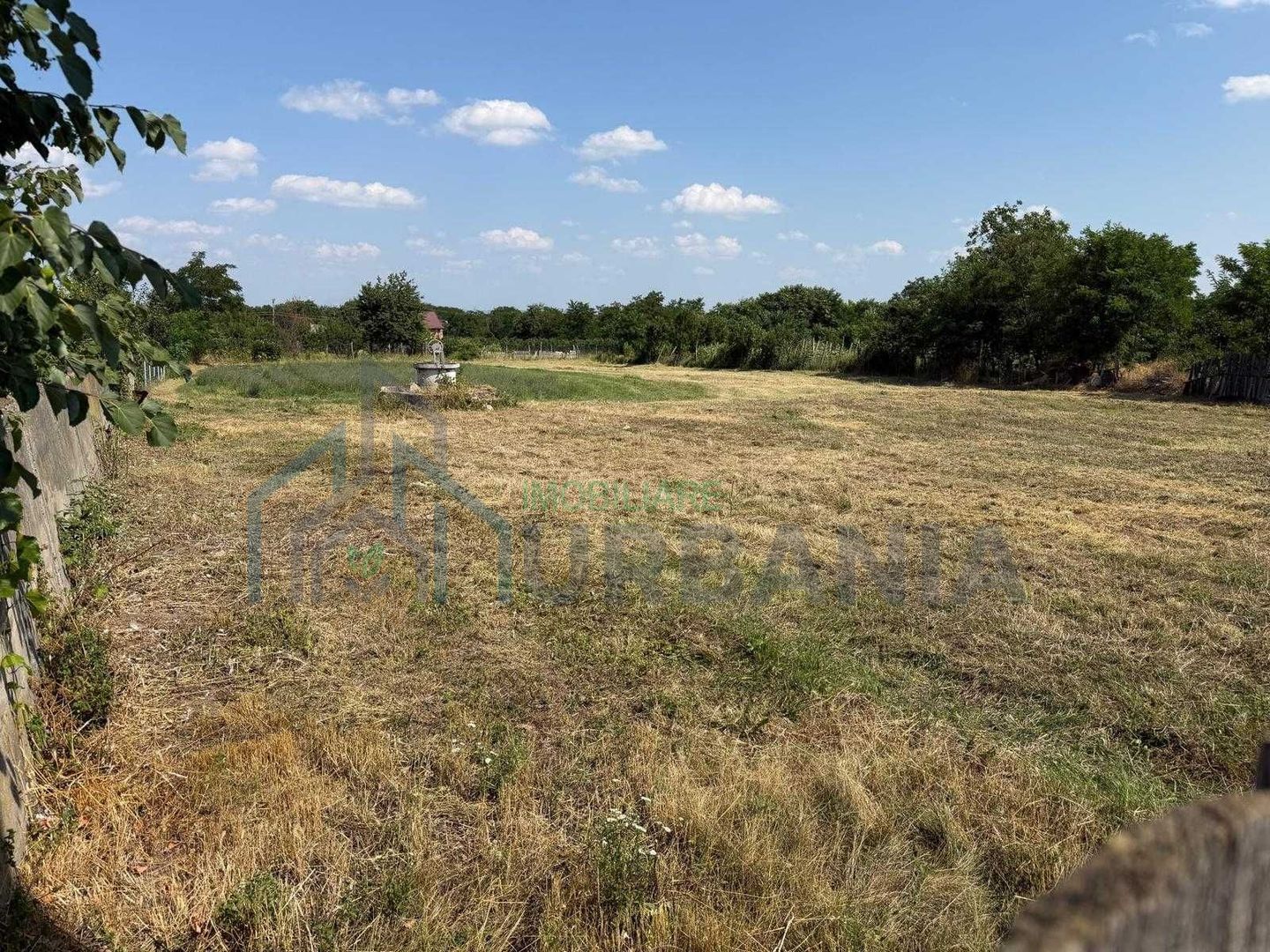 Teren intravilan 2735 mp, Bosteni Pascani, deschidere 32 m - Poză 2