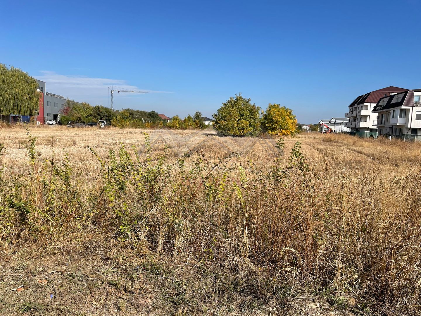 Teren 7714 mp Otopeni stradal - ideal investiție - Poză 2