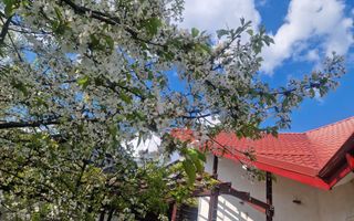 Casă de închiriat în cartierul Bucium, Iași - Poză 2